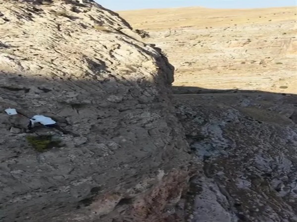 Yüzlerce Metre Yükseklikten Halatla Sallanıyor! Kilosunu 15 Bin TL'den Satıyor